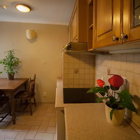 Nerudova By Interhome Apartmán
